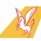 Pegasus Hava Yolları